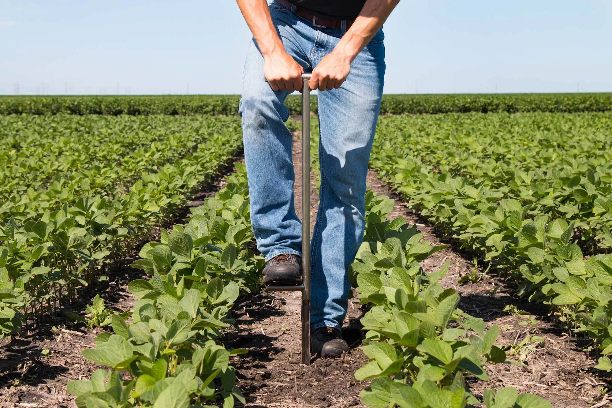 Agricultural soil testing services in Bangalore for crop health and soil analysis